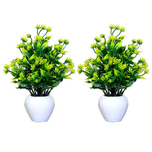 Image of Modo Wheat Grass Artificial Buttercup Flowers Plant with Round Pot for Office,Home,Indoor Decore /Guldasta - (24 CM) Yellow & Green
