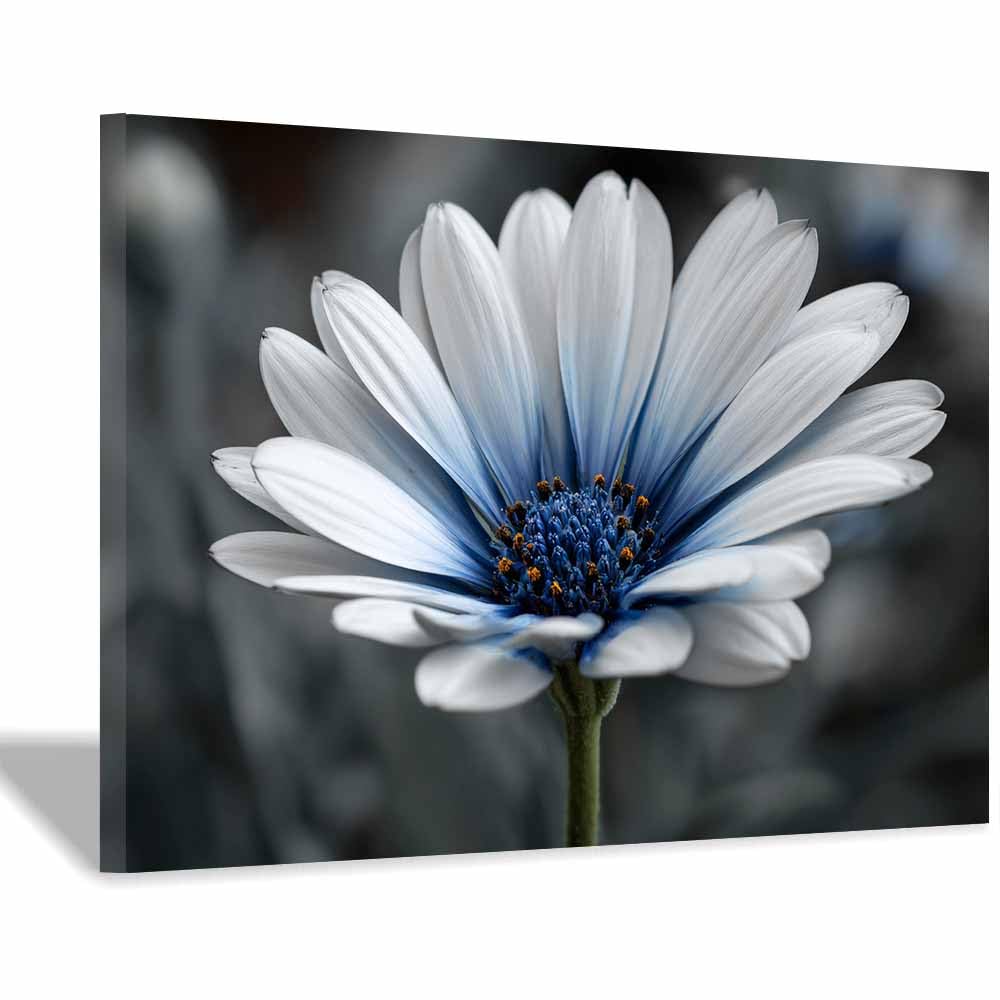 WUFIEA Semplice arte botanica Stampe su Canvas Con le risate per Camera da Letto Agriturismo Soggiorno Bagno(Azzurro chiaro)-60x90cm Incorniciato