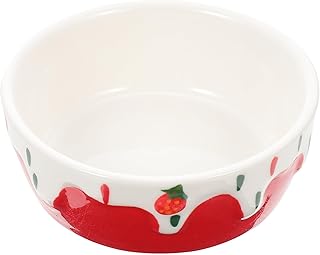 NOLITOY 2 Peças Tigela De Comida Para Hamster Alimentadores De Coelho Suprimentos De Coelho Comida De Coelho Tigela De Cerâmica Tigela De Ouriço Alimentadores De Esquilo Para Exterior