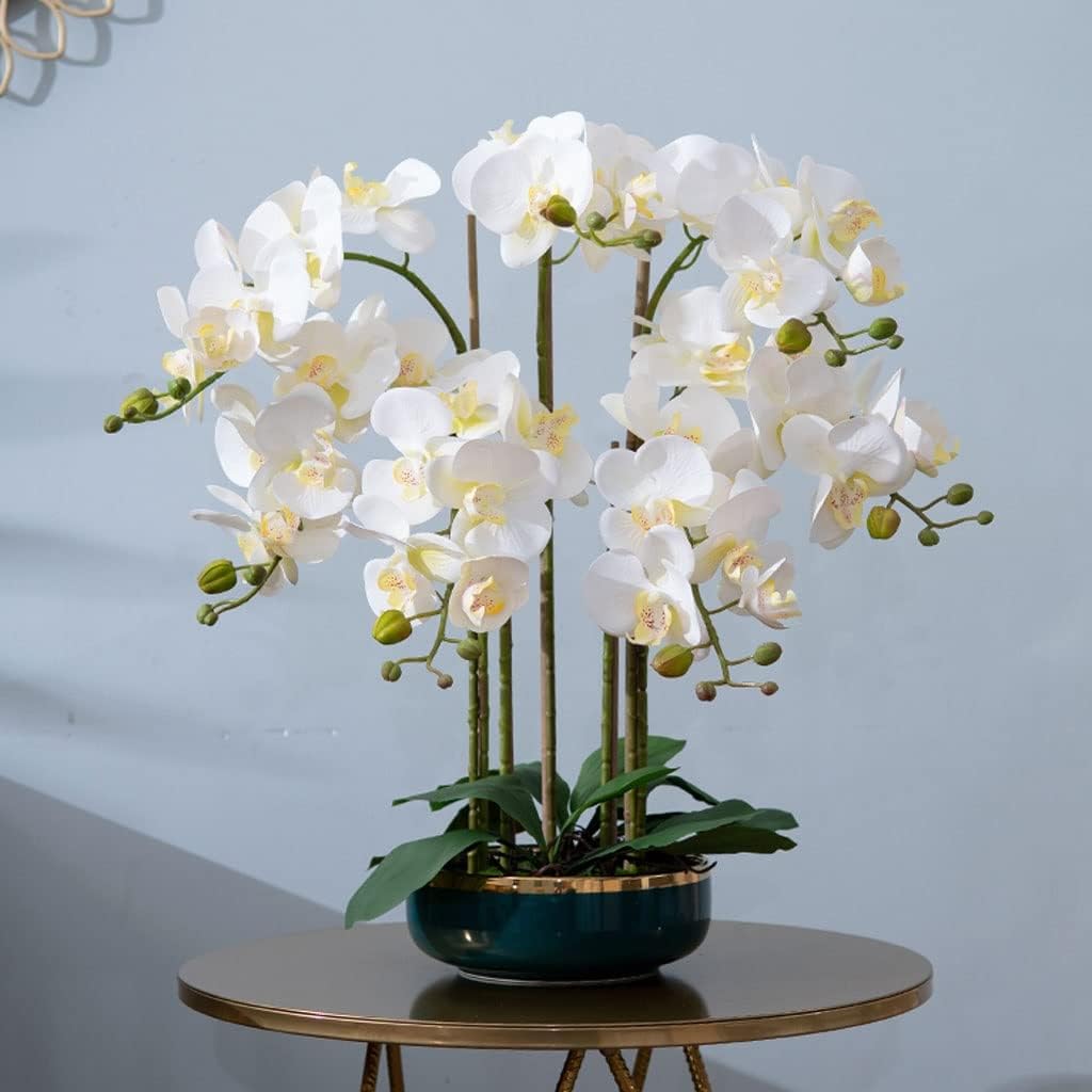 輪花，一輪挿し花瓶極上池ノ浦大〇作 共箱