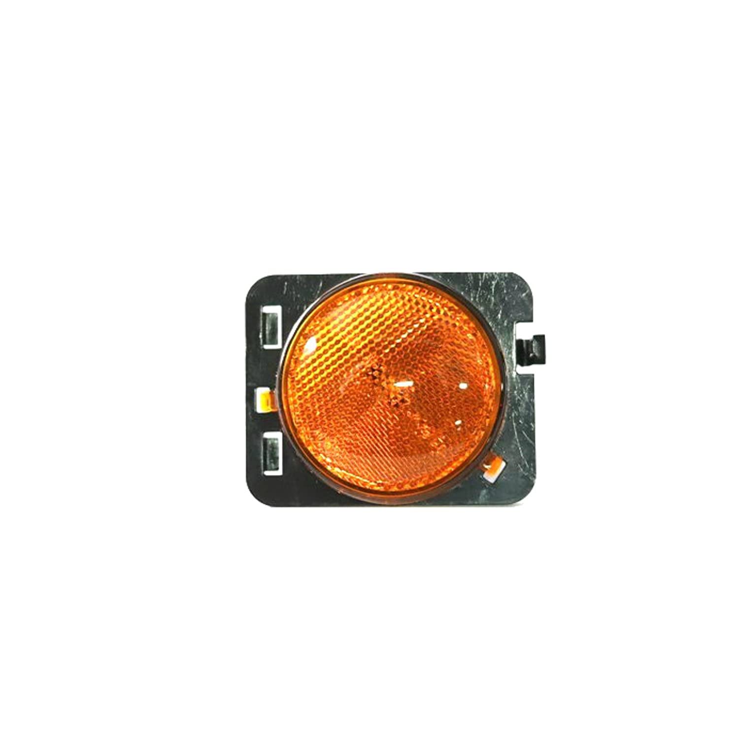 Amazon.com: Mopar 55078145AA LAMP SIDE MARKER : Automotive