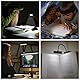 Schwarz Leselampe Buch Klemme, USB Wiederaufladbare Buchlampe mit 9 LEDs, 3 Farbtemperatur Modi(Warm/Kühl/Natürlich), Stufenlose Helligkeit Klemmlampe, 360° Flexibel, für Nachtlesen ins Bett, Computer