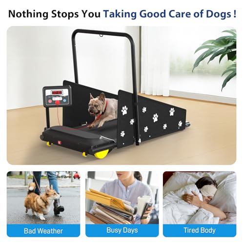Specs and Features of CIIHI Dog Treadmill