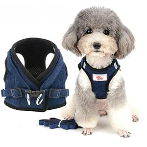 おしゃれな犬用ハーネスは かわいいペットリードのおすすめランキング わたしと 暮らし おしゃれな犬用ハーネスは かわいいペットリードのおすすめランキング わたしと 暮らし
