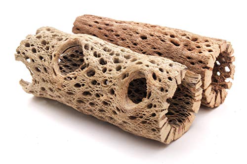 My Pet Patrol 3 to 48 Inch All Natural Teddy Bear Cholla Wood Extra Hollow Large Untreated Organic Aquarium Driftwood Decoration Chew Toy Shrimp Crab Multi-Quantity (2 Pieces, 6 inch)