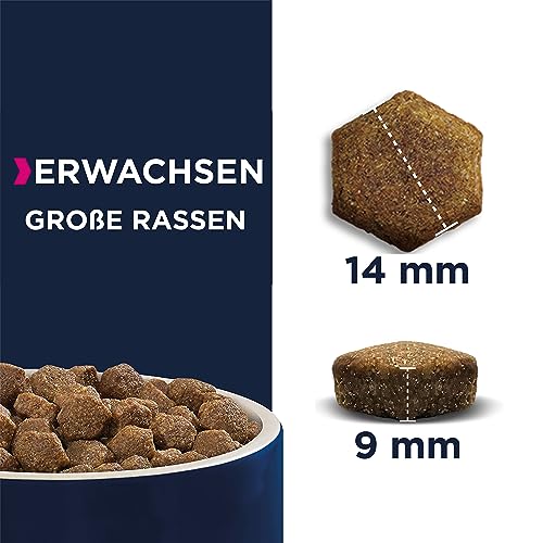 Eukanuba Hundefutter getreidefrei mit Lamm für große Rassen - Trockenfutter für ausgewachsene Hunde, 3 kg