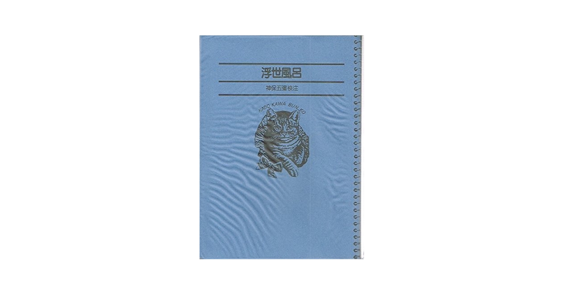 <貴重>非売品 伊勢甚創業250周年記念出版-水戸の風俗と伊勢甚の歴史- 貴重> 非売品 伊勢甚創業250周年記念出版-水戸の風俗と伊勢甚の