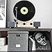 Sturdy Vinyl Record Storage Box - Album Storage Holds up 50+ Single Record, LP Storage Organizer Crate With Lid, Decorative Moving Box For Records, Solutions to Protect Your Precious Collection Grey
