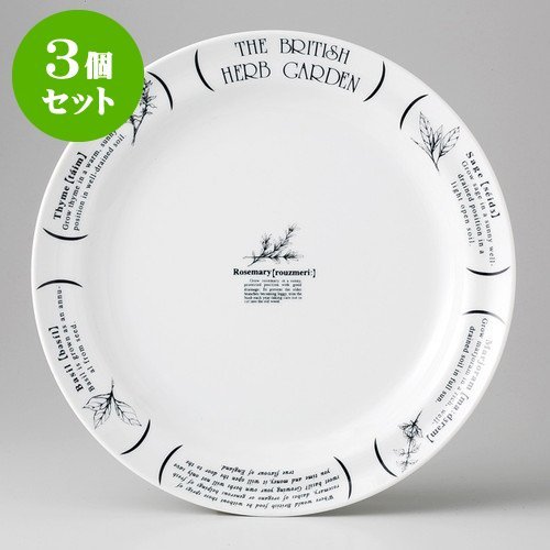 3ZbgHERB GARDEN 9D~[gM [ 24.7 x 3cm 492g ] y JtFX^C z y JtF Xg mH HX Ɩp Vv 킢 z