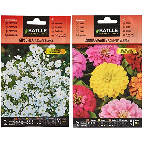 Semillas Batlle Gipsofila Elegante Blanca & Zinnia Gigante flor Dalia vda