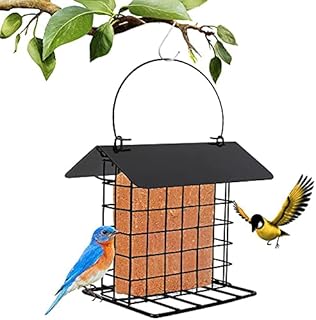 Hanging Bird Feeder, Metal Material Wild Bird Feeder House Shape Suet Blocks Squirrel Proof Fat Balls Block Feeder with Roof and S Hanging Hook for Outdoors Garden Food Dispenser Idea for Bird Lovers