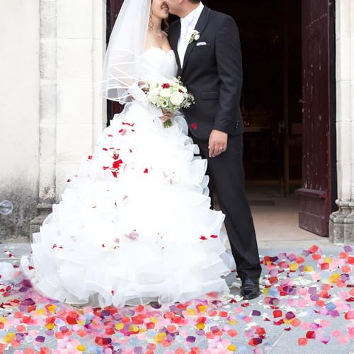 Hariendny 583069_1_GKFCD1NH 1000 Pcs Artificial Rose Petals Fake Petal Flower Decoration thumb #1