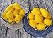 JEDFORE 10pcs Artificial Lemons Simulation Lifelike Lemons Fake Fruit for Home Kitchen Wedding Party Decoration Photography (Big Size, Yellow)
