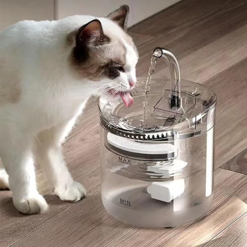 Fuente para gatos silenciosa que elimina el agua estancada en casa 3