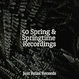 Just Relax Records