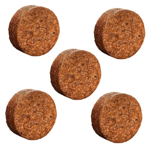 TIDTALEO 5 fkh{y RRibc@ێgp ې ʋC L@|{y A  Ԃ̈琬 oRj[|p