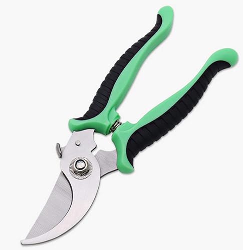 Miniatura 3 de AKOAK 1 paquete de tijeras de podar, tijeras profesionales de flores, cortadores de ramas, afiladas, duraderas, adecuadas para plantas, ramas, poda