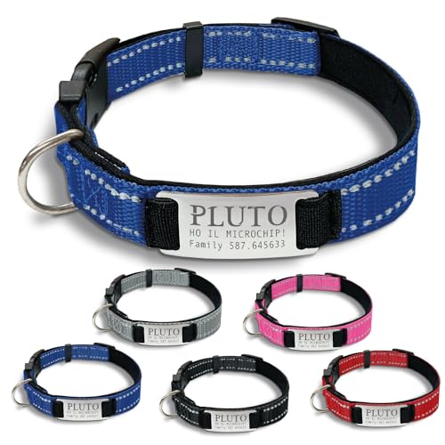 Gruppo Veneziano - collare cane personalizzato - collare cane personalizzabile con targhetta in metallo - linee Catarifrangenti - clip in abs - gancio per guinzaglio