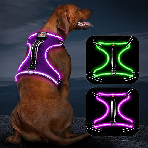 Light Up Dog Harness, No Pull LED Dog Harness with Handle, Rechargeable Lighted Safety Vest for Small Medium Large Dogs, Adjustable Soft Dog Lights for Night Walking