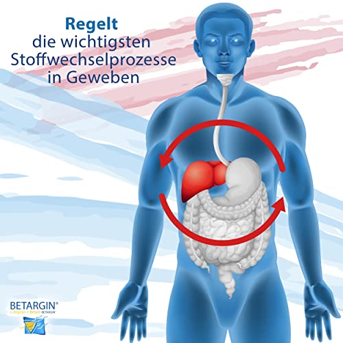 L-Arginine Betaïne supplement 10x10ml veganistisch aminozuur voor stofwisselingsprocessen gezondheid van het… - Image 5