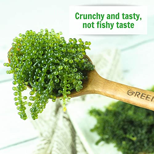 Kadosachi Dehydrated Sea Grapes, 8.47 Oz 1 Box (Pack Of 12) - Green Caviar, Sea Grapes To Eat, Umibudo, Organic Seaweed, Lato Seaweed | Improves The Skin, Improves Immune System (1 Box (12 Packs/Box)) #TOP5