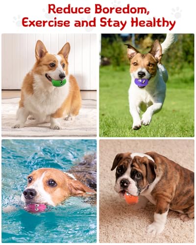 TOPWE Hundeball, [5 Stück] Lustig Weich Quietschend Hundespielzeug Kleine Hunde, Interaktives Egg Hundespielzeug Quietschend für Welpen