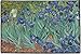 RNK Shops Irises (Van Gogh) Door Mat - 36