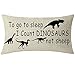 Nice Gift Animal Dinosaurs Funny Words to Go to Sleep I Count Dinosaurs Not Sheep Waist Lumbar Throw Pillow case Cushion Cover Pillowcase for Sofa Home Decorative Rectangle 12x20 Inches