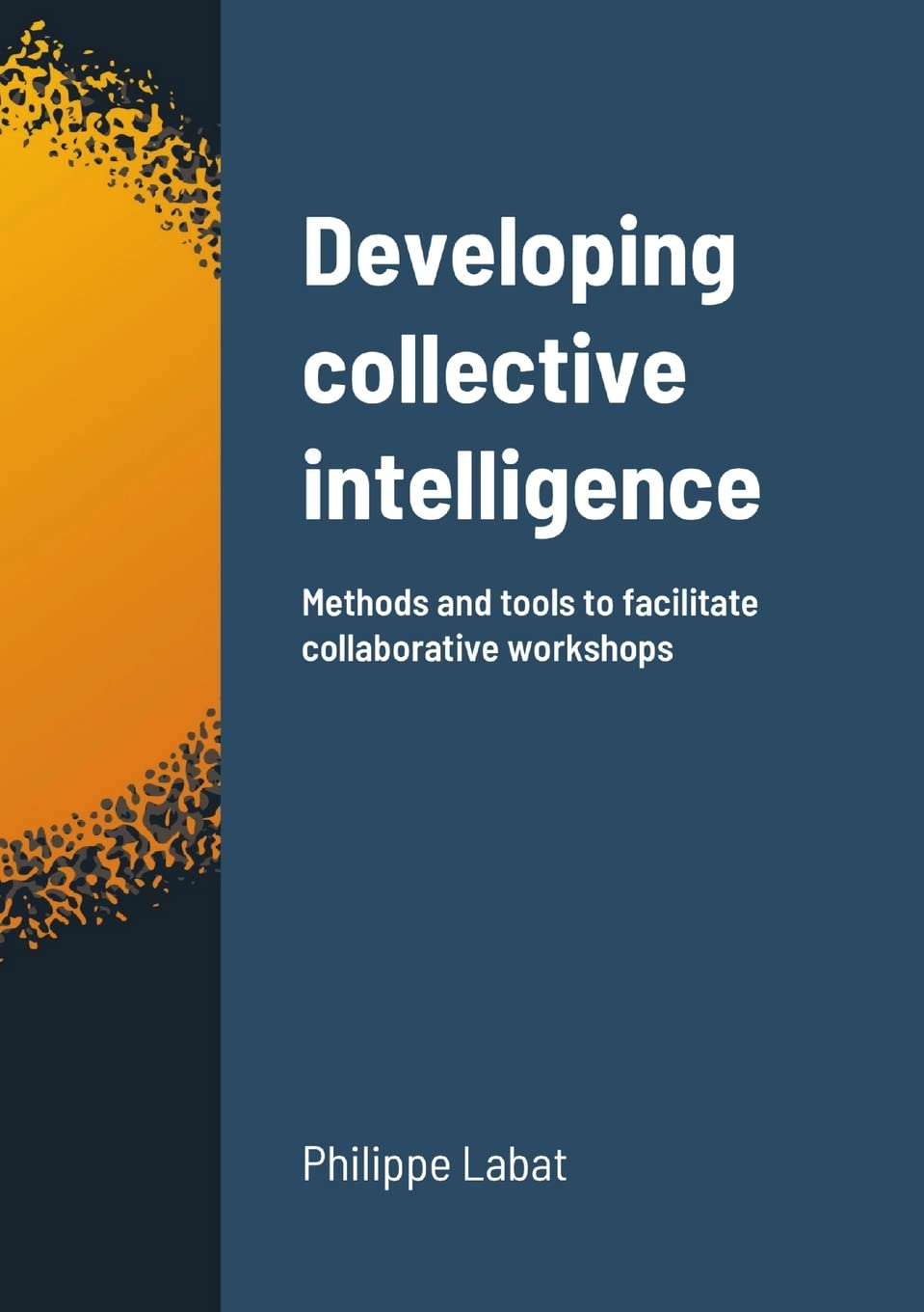 Developing collective intelligence: Methods and tools to facilitate collaborative workshops