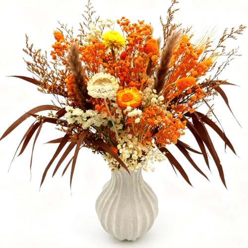 CAwished Bouquet de Fleurs séchées Naturelles pour la Automne décoration Interieur de la Maison Table Boho Fleurs Naturelles Vraies...