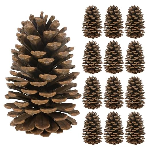 12PCS Large Pine Cones, 3.93-5.51 Inches Tall Pinecones Bulk, Natural Pine Cones for Craft Home Accent Decor Christmas Decorations Table Accessories Supplies Xmas