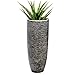 Produktbild Casablanca - Indoor Pflanzgefäß - aus Poly antik Bronze - für den Innenbereich - H 76 cm