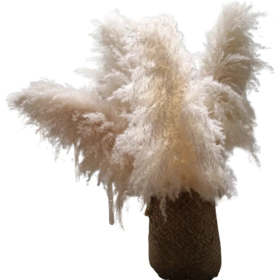 Pampas Grass Large 60cm Fluffy Tall Pampas Decor (5pcs) miniatura 1