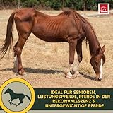 Pferd Aufbaufutter + Amino Booster 6 kg 30ml Pulver Muskelaufbau Pferde Aminosäuren Sojaschrot Protein Pferd | Vitamin E Selen B-Komplex Zink Biotin Muskel Plus Ergänzungsfutter Muskulatur Gewicht