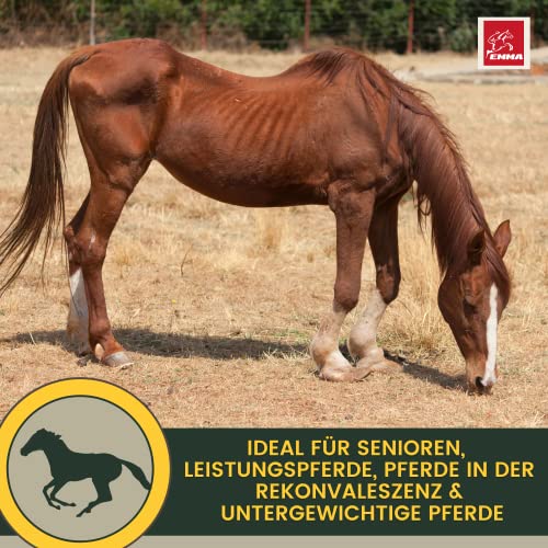 Foto von Sojaschrot Pferd I Zusatzfutter für Muskulatur Skelett & Vitalität I Aminosäuren für Pferde Muskel I Muskelaufbau Aufbaufutter Sojaextraktionsschrot I Vitamin B E komplex Zink Biotin Selen Pferd 6Kg