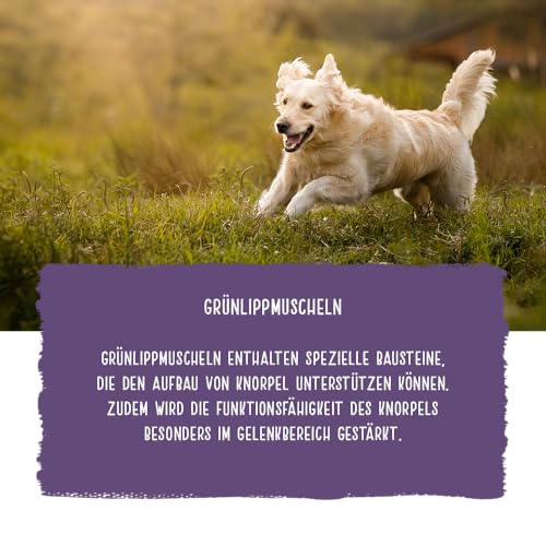 Chicopee Classic Nature Line | Soft Senior | Hundefutter halbfeucht | Mit Huhn & Reis | Weizenfrei & Soft-Krokette | Bedarfsgerechtes Life-Cycle-Konzept | Inspiriert von der Natur Kanadas | 15 kg