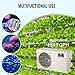 VEVOR Aquarium Chiller, 500 Gal 1892 L, 1.45 HP Hydroponic Water Chiller, Quiet Refrigeration Compressor for Seawater and Fresh Water, Fish Tank Cooling System, for Jellyfish, Coral Reef