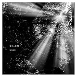 機動戦士ガンダム THE