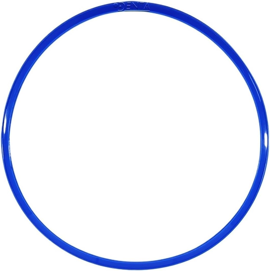 3870-D chamber gasket blue (GAS080-0317) Autoclave door gasket sterlization Chamber seal parts