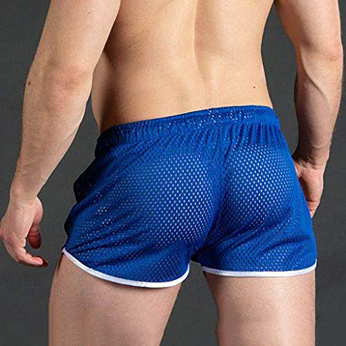 Mens Mesh Gay Shorts,Hot See Through Lightweight 3 Inch Summer Booty Bottoms Fast Dry Side Stripes Trunks,Vacation Holiday Beachwear Casual Low Rise Swim Brief Boxer(Blue,M) #TOP4