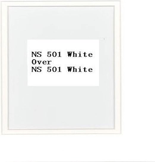 Pack of 10 16x20 White/White Double Mats Mattes with White Core Bevel Cut for 11x14 Photo + Backing + Bags