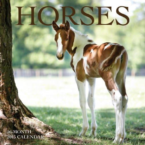 Horses Mini Wall Calendar 2015 Calendar – Mini Calendar, September 1, 2014