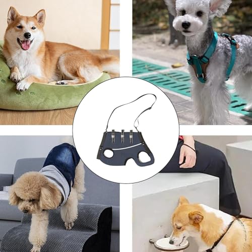 Hebegurt Altere Hunde - Tragehilfe Für Haustiere,Verstellbare Gehhilfe für Hunde mit Schwäche in den Hinterbeinen, Senioren, Behinderungen & Verletzungen