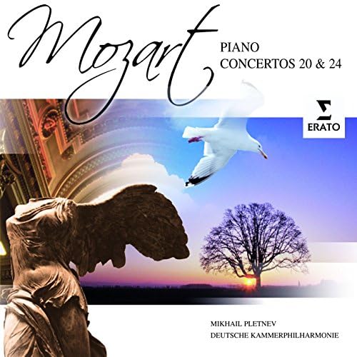 クラシック BEETHOVEN MIKAHAIL PLETNEV PLETNEV / RUSSIAN NATIONAL ORCH, BEETHOVEN,LUDWIG VAN