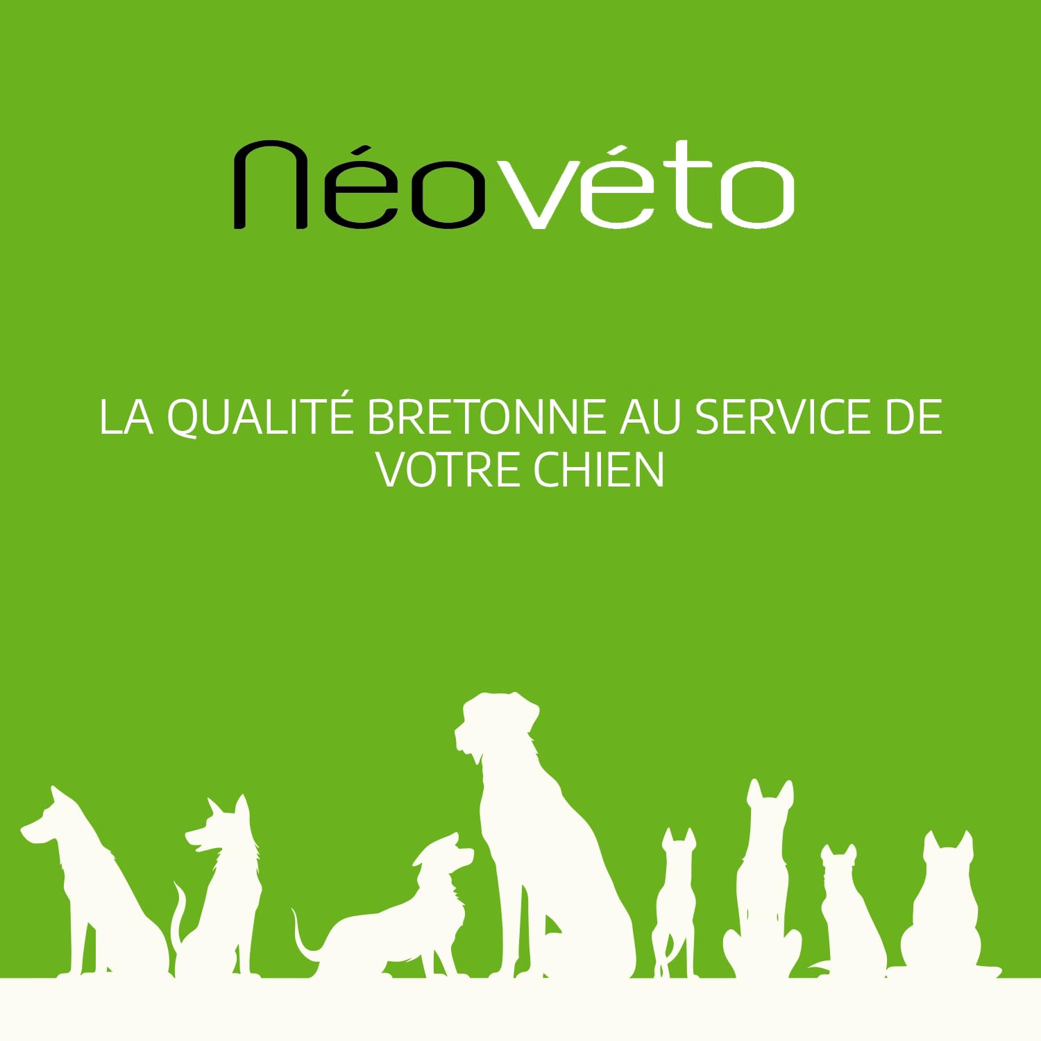 Articulations Chien - 120 comprimés naturels - Arthrose Chien - Anti-inflammatoire - Actifs agréés par Les Services vétérinaires - Fabriqué en France