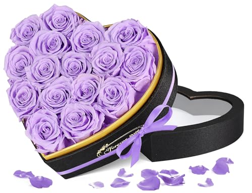 vU[uht[ F ͂Ȃ{KN Ԕ 肠  lC  j ̓ LO   a v[g n[g{bNXAWg