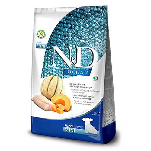  N&D OCEAN DOG COD, PUMPKIN AND CANTALOUPE MELON PUPPY MINI 2,5 KG
