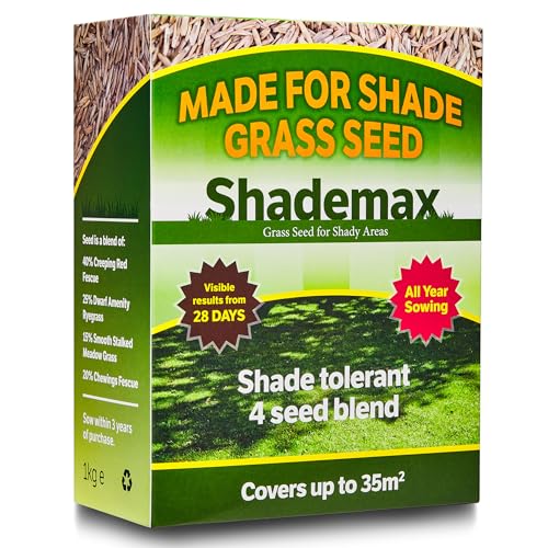 Shademax Grass Seeds for Shady Areas Lawn Seeds for Shade Shady Grass Seed Lawn Seed (1kg)