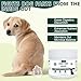 LuxeVib Dog Fart Remedy with 4B CFU Pediococcus Acidilactici Probiotics & Digestive Enzymes, Helps Reduce Smelly Gas & Bloating, Supports Dog Gut Health & Digestive Balance, Powder for Dogs – 5 oz
