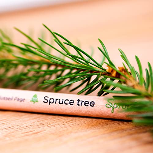 Sprout Pencils | Plant A Tree Edition | Graphite Plantable Pencils With Spruce Tree Seeds | Eco-Friendly Organic Wood | Prime Sustainable Gift Engraved With Inspirational Quotes | 5 Pack #TOP5